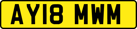 AY18MWM