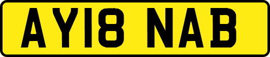 AY18NAB
