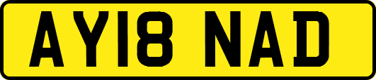 AY18NAD