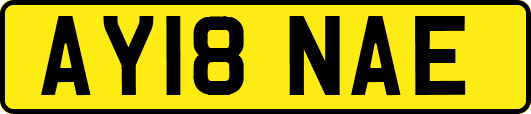 AY18NAE
