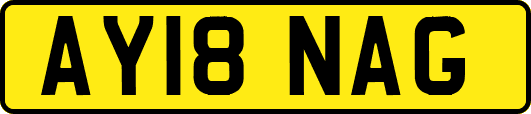 AY18NAG