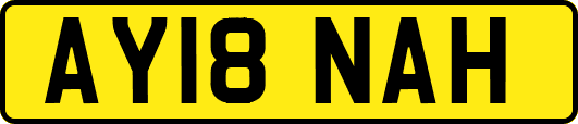 AY18NAH