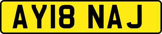 AY18NAJ