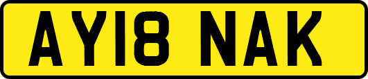 AY18NAK
