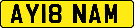 AY18NAM