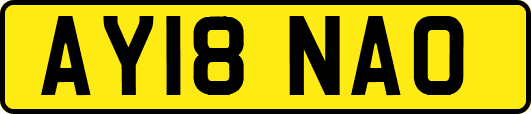 AY18NAO