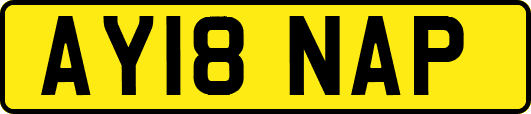 AY18NAP