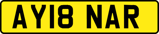 AY18NAR