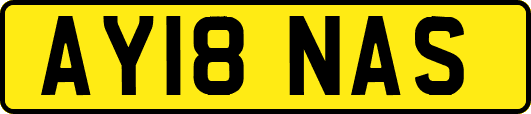 AY18NAS