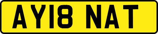 AY18NAT
