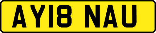 AY18NAU