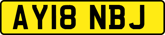 AY18NBJ