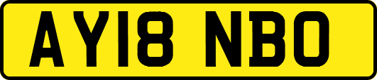 AY18NBO