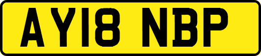 AY18NBP