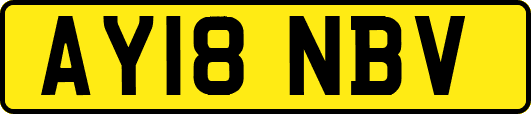 AY18NBV