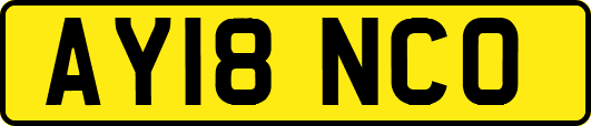 AY18NCO