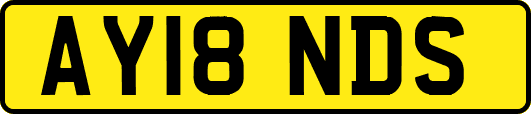 AY18NDS