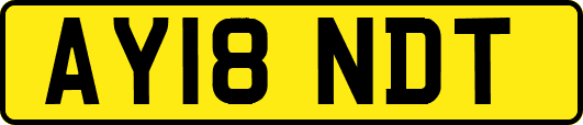 AY18NDT
