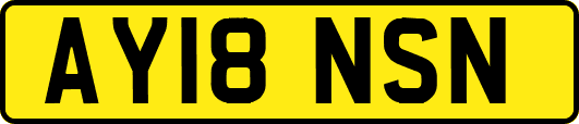 AY18NSN