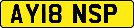 AY18NSP