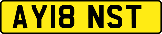 AY18NST