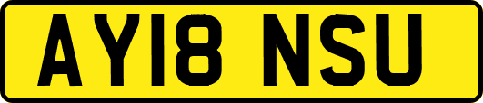 AY18NSU