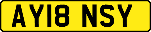 AY18NSY