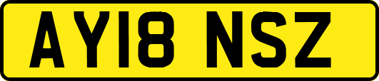 AY18NSZ