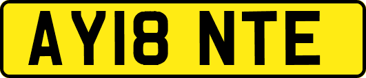 AY18NTE