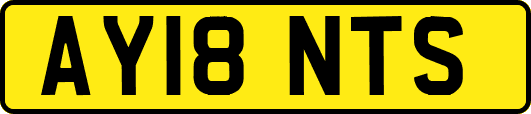AY18NTS
