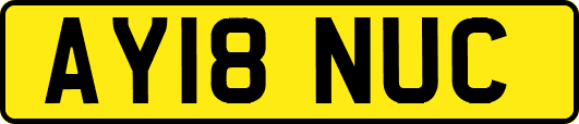 AY18NUC
