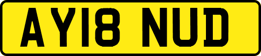 AY18NUD