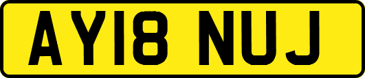AY18NUJ