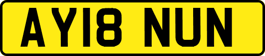 AY18NUN