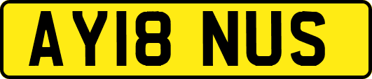 AY18NUS