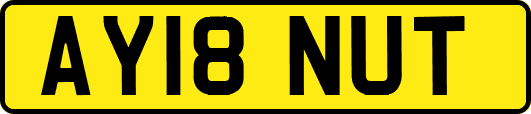AY18NUT