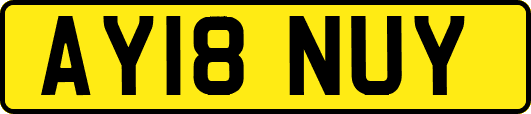 AY18NUY