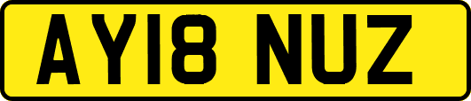 AY18NUZ