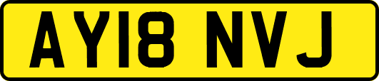 AY18NVJ