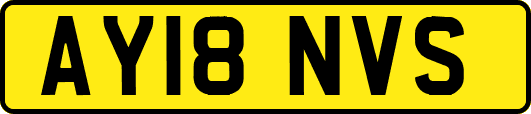 AY18NVS