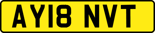 AY18NVT