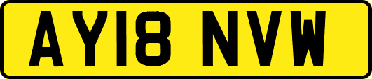 AY18NVW