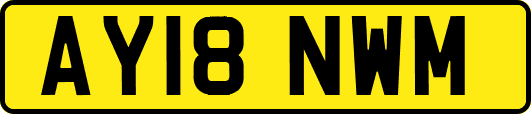 AY18NWM