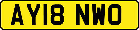 AY18NWO