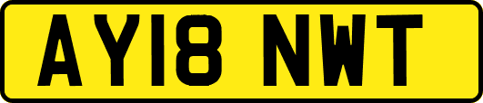 AY18NWT