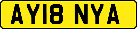 AY18NYA
