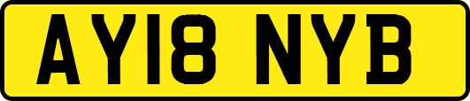 AY18NYB