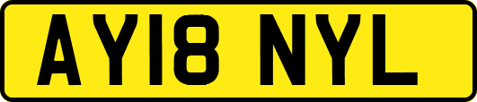 AY18NYL