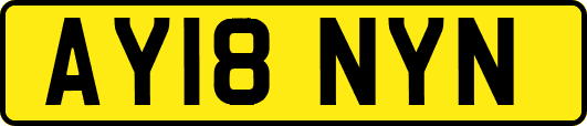 AY18NYN