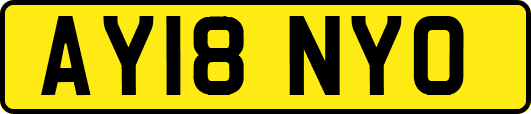 AY18NYO